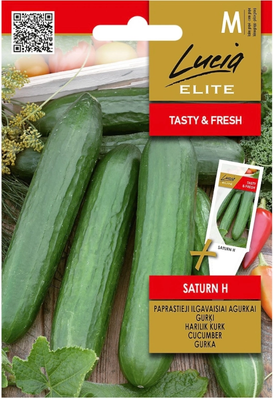 Ogórek sałatkowy Saturn H plenna odmiana mieszańcowa nasiona 10 szt. Lucia Elite sklep rajogrodnika